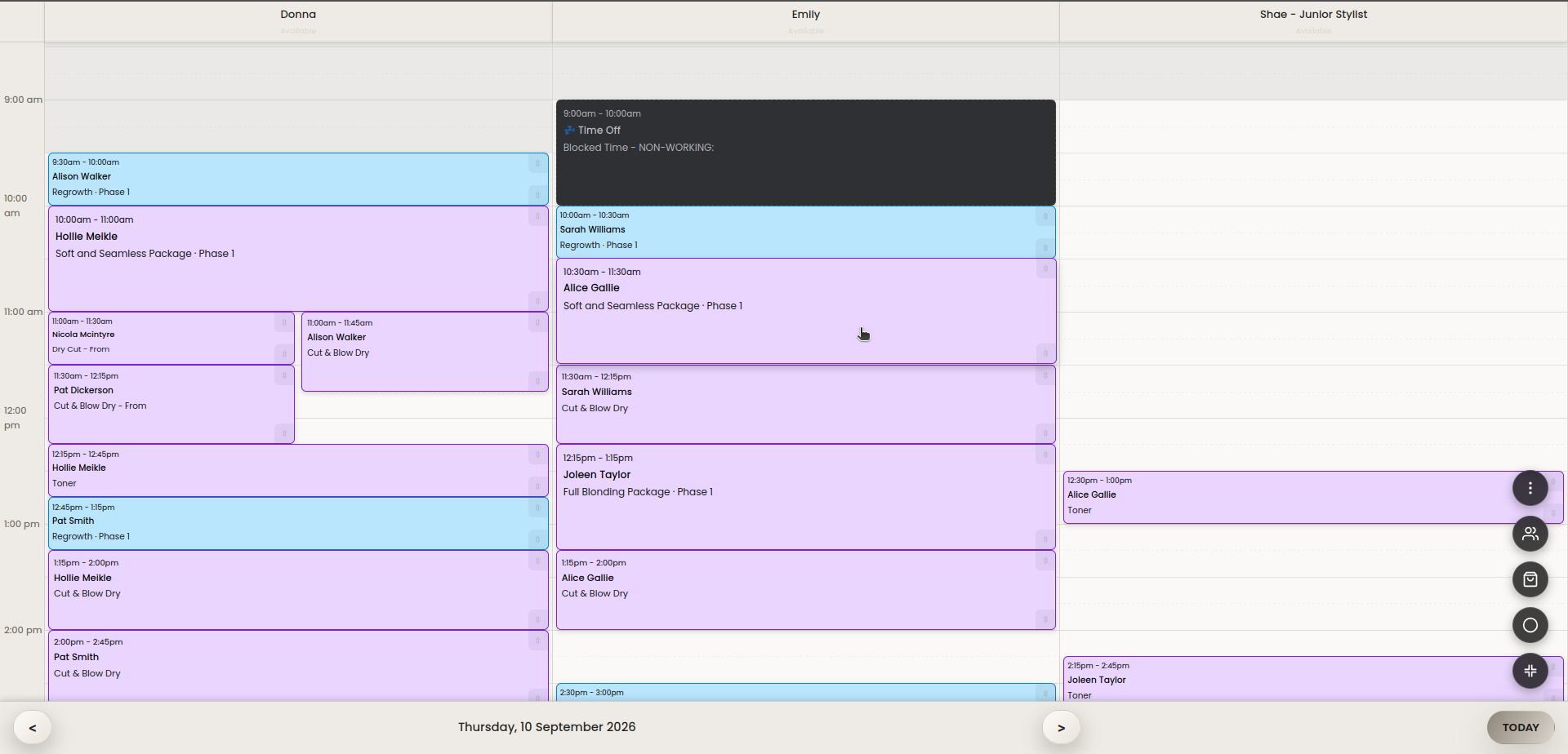 Salon booking calendar showing appointments for multiple stylists